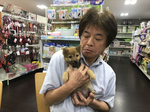 写真