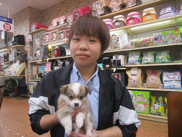 写真