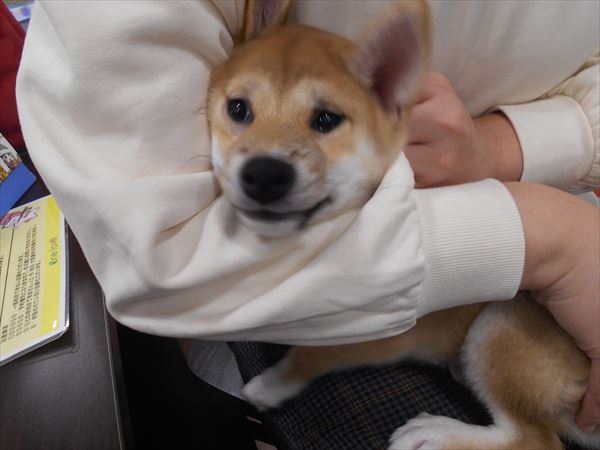 写真