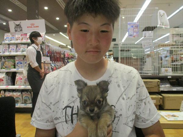 写真