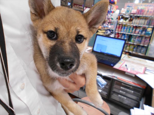 写真