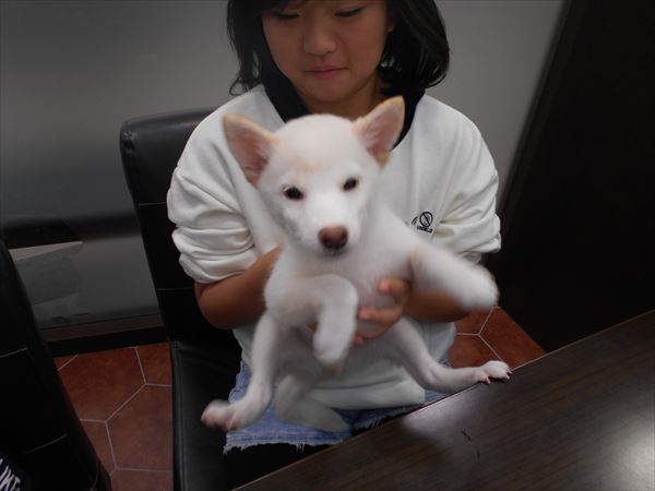 写真