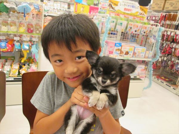写真
