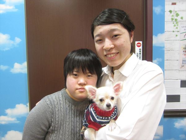 写真