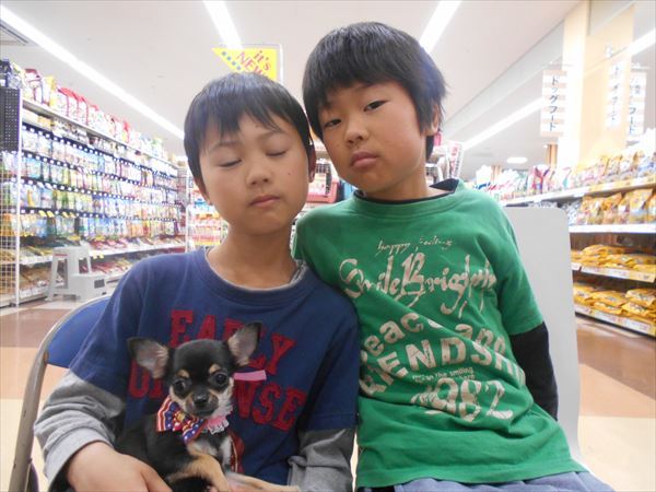 写真