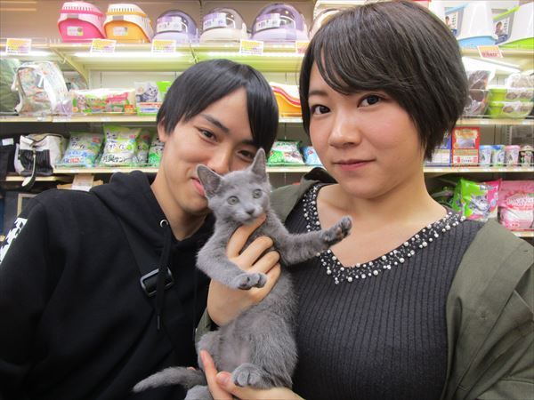 写真