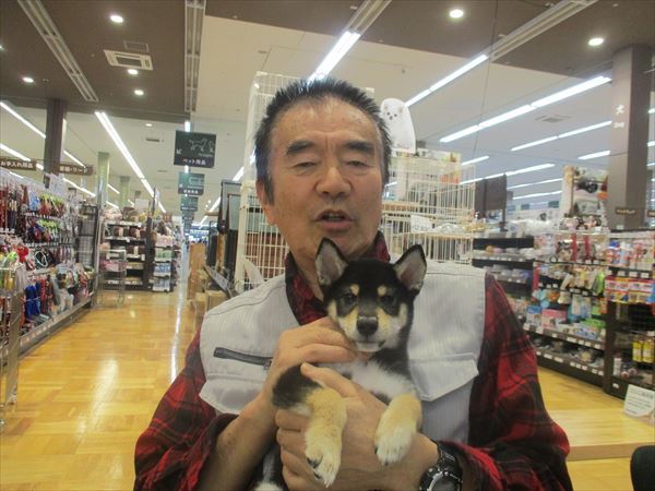 写真
