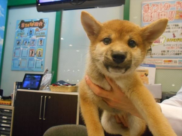 写真