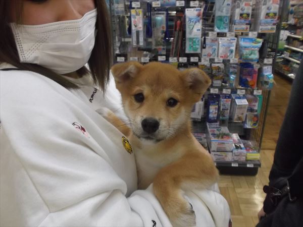 写真