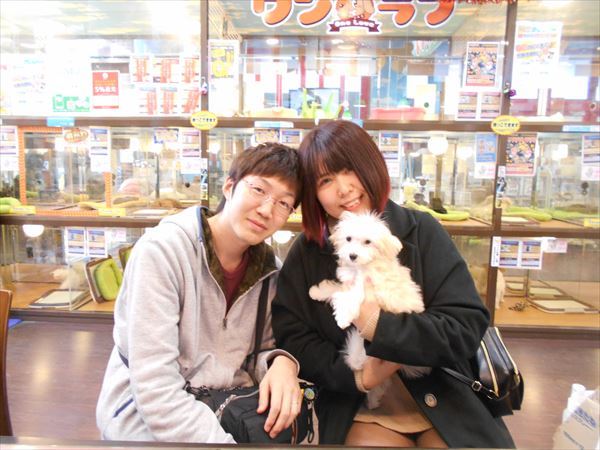 写真