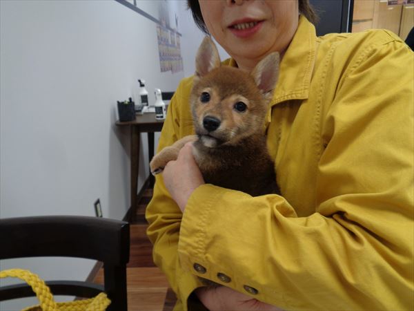 写真
