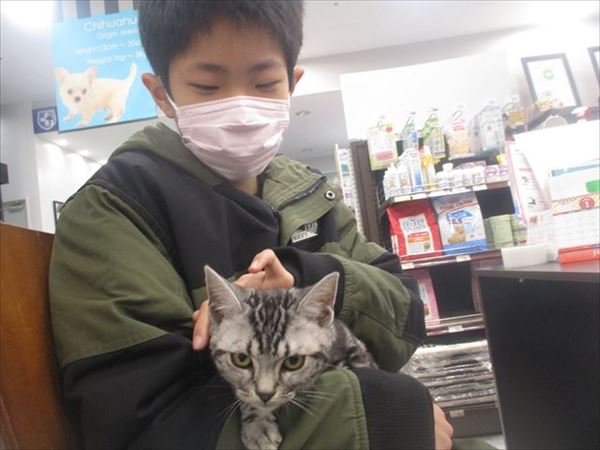写真