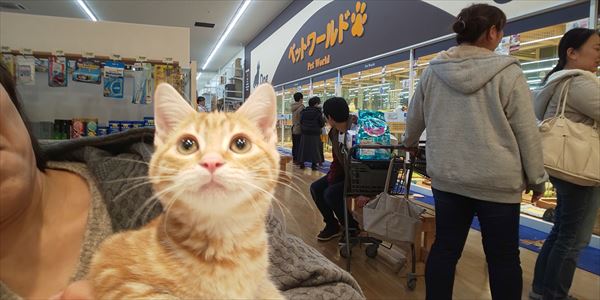 写真