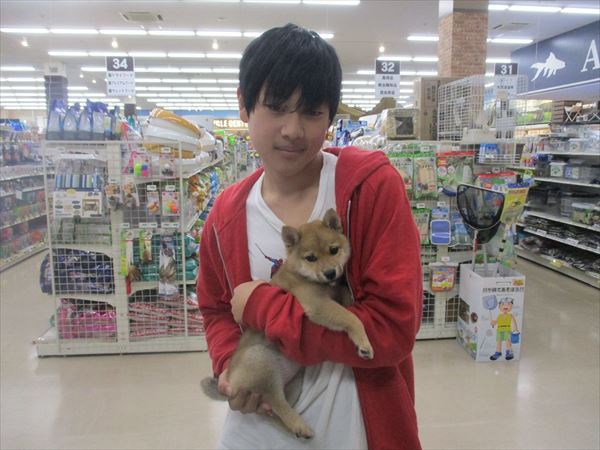 写真
