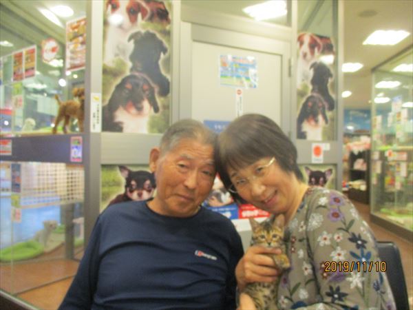写真
