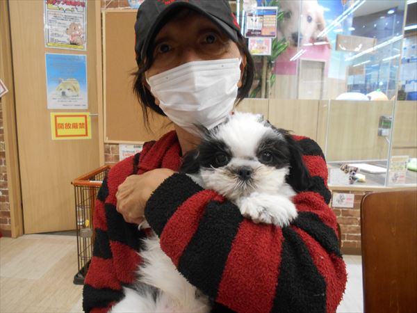 写真