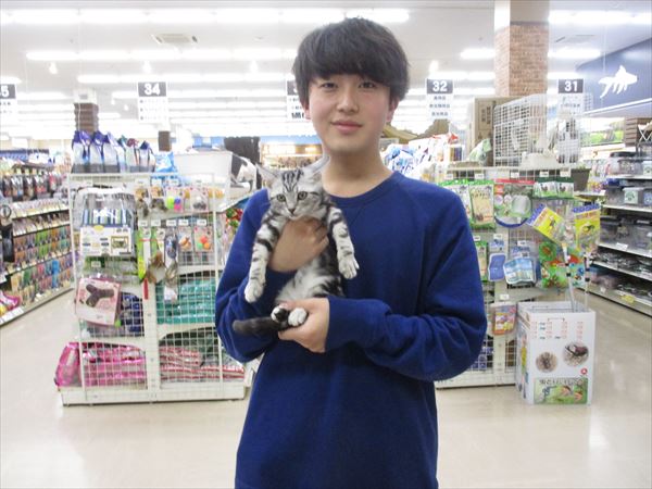 写真