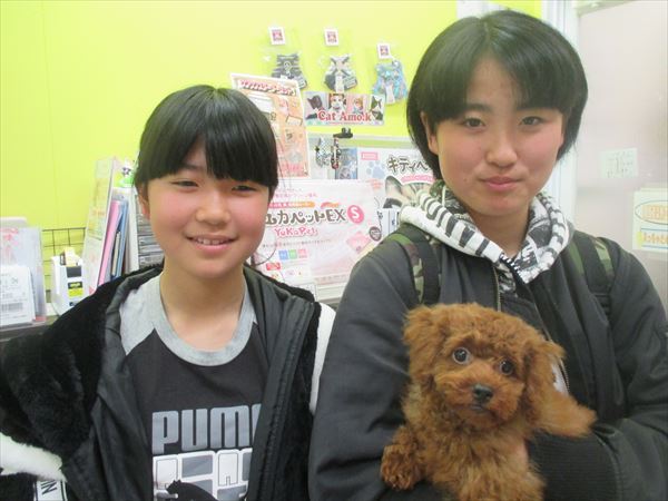 写真