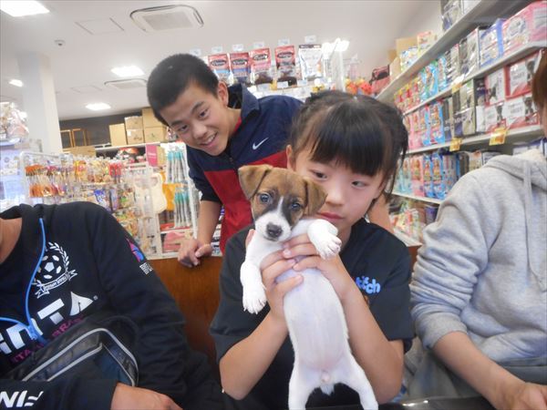 写真