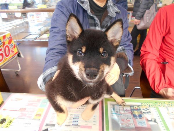 写真
