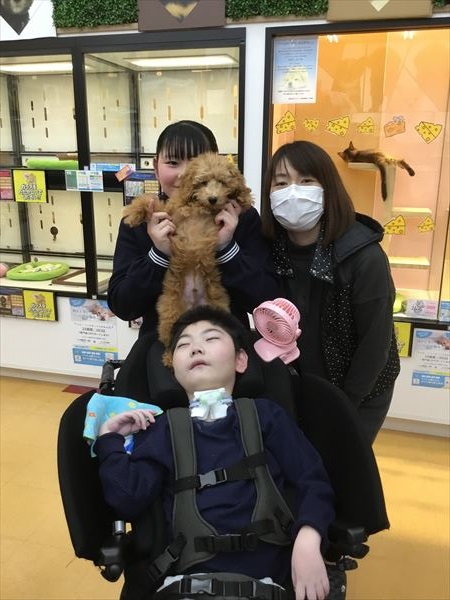 写真