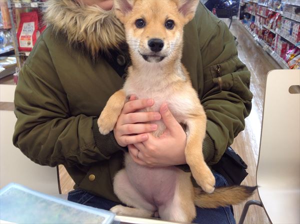 写真