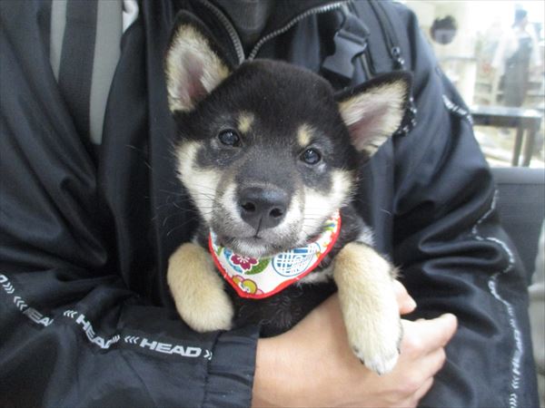 写真