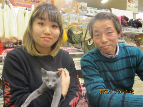 写真