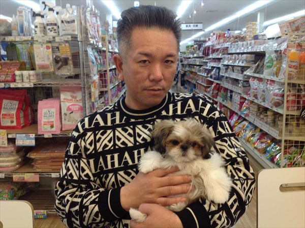 写真
