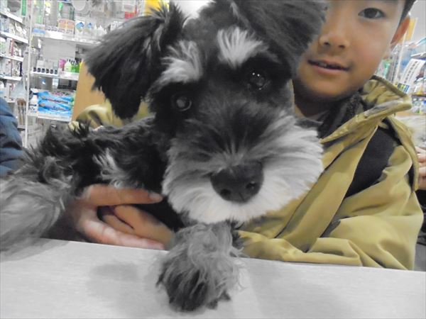 写真