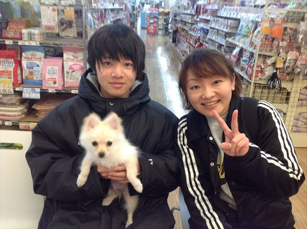 写真