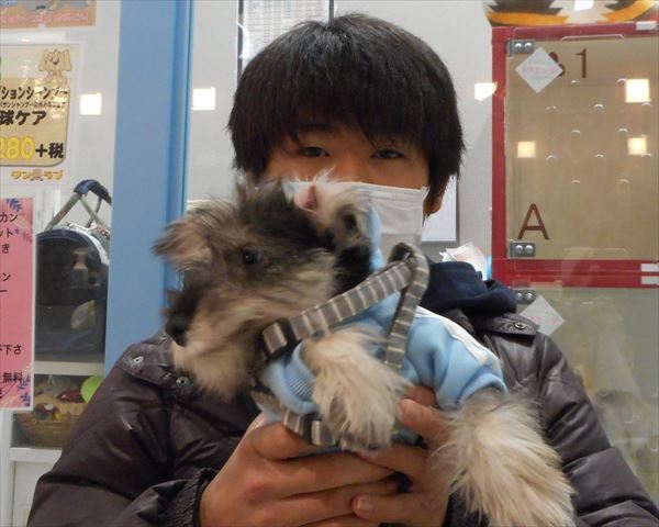 写真