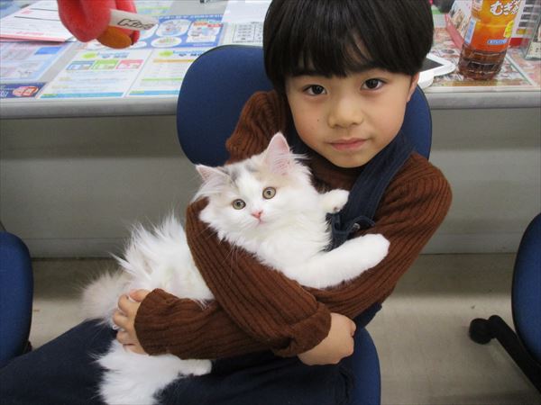 写真