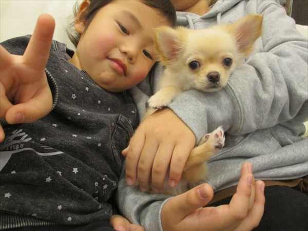 写真