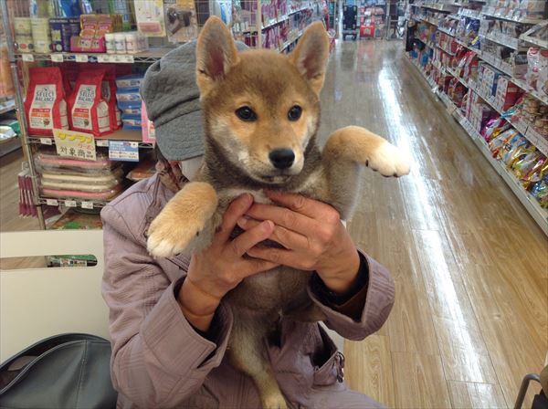 写真