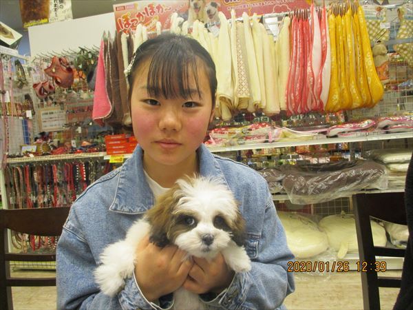 写真