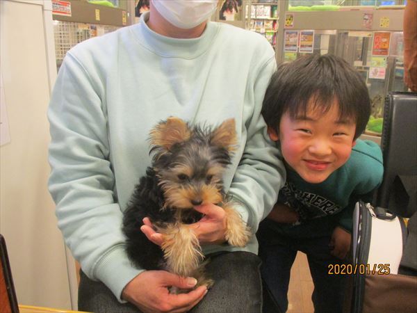 写真