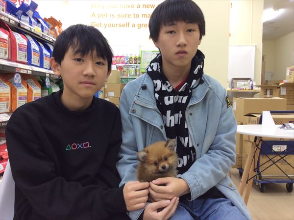 写真