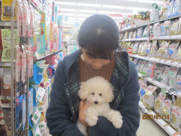 写真