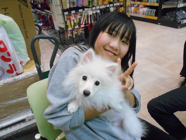 写真