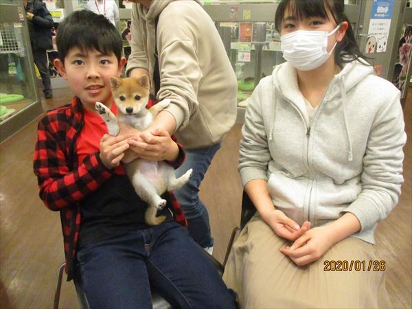 写真