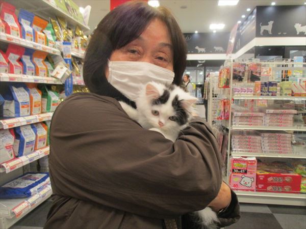写真