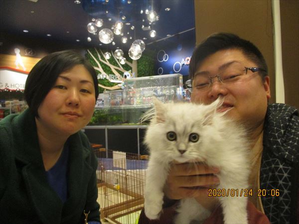 写真