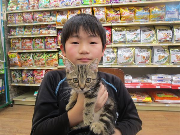写真