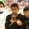 写真