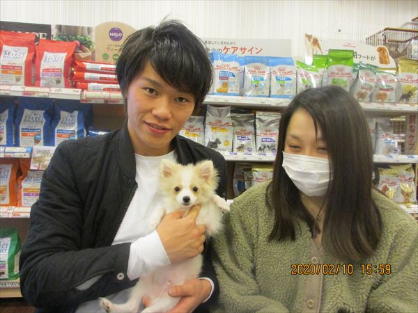 写真