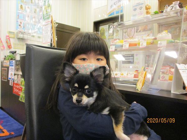 写真