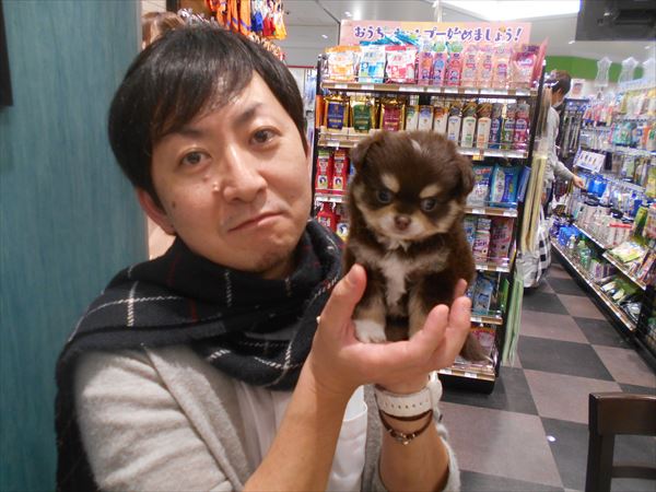 写真
