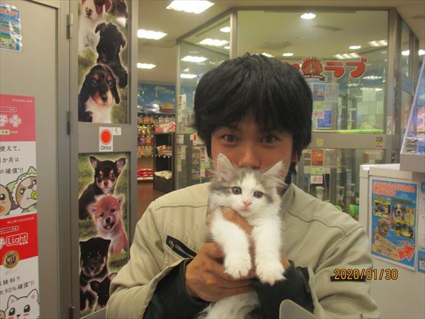 写真