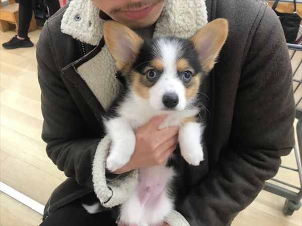 写真